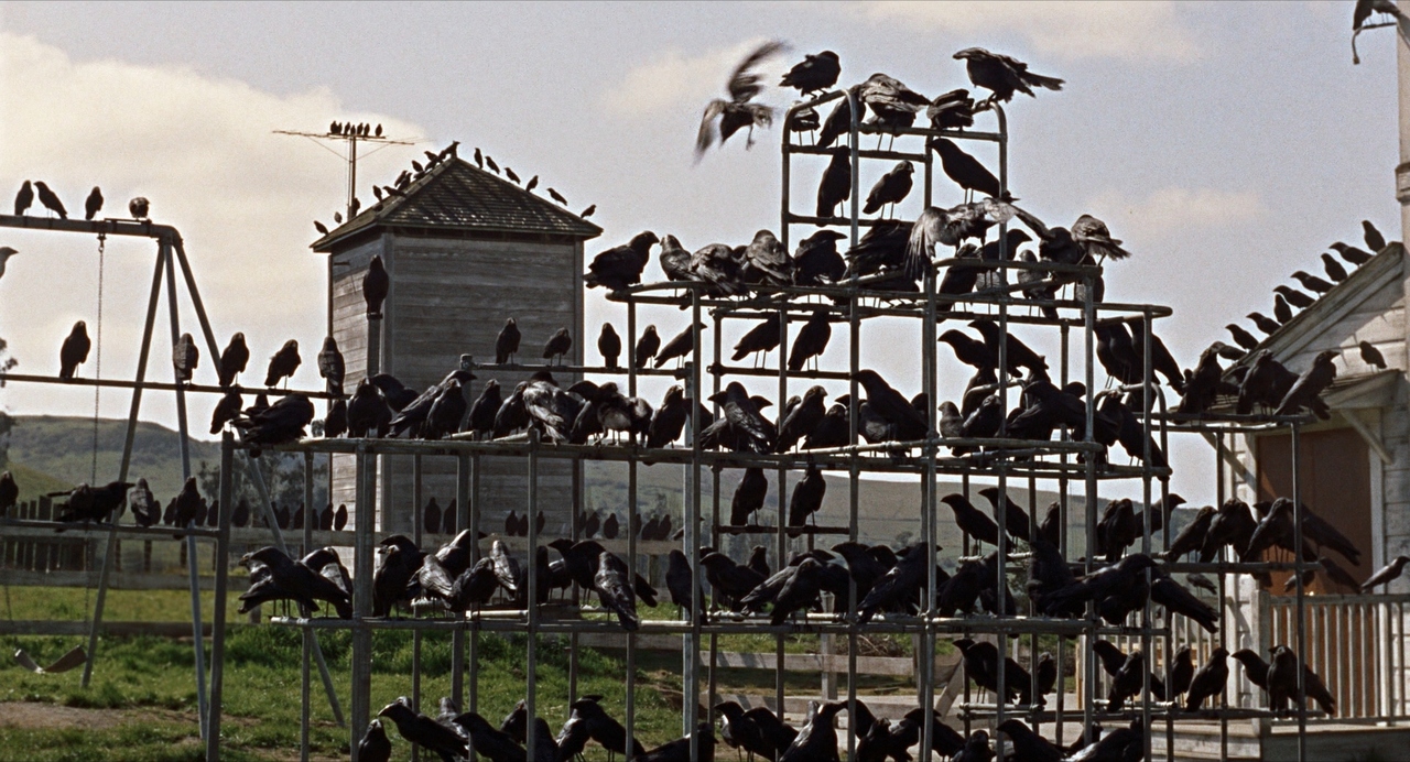 Les Oiseaux