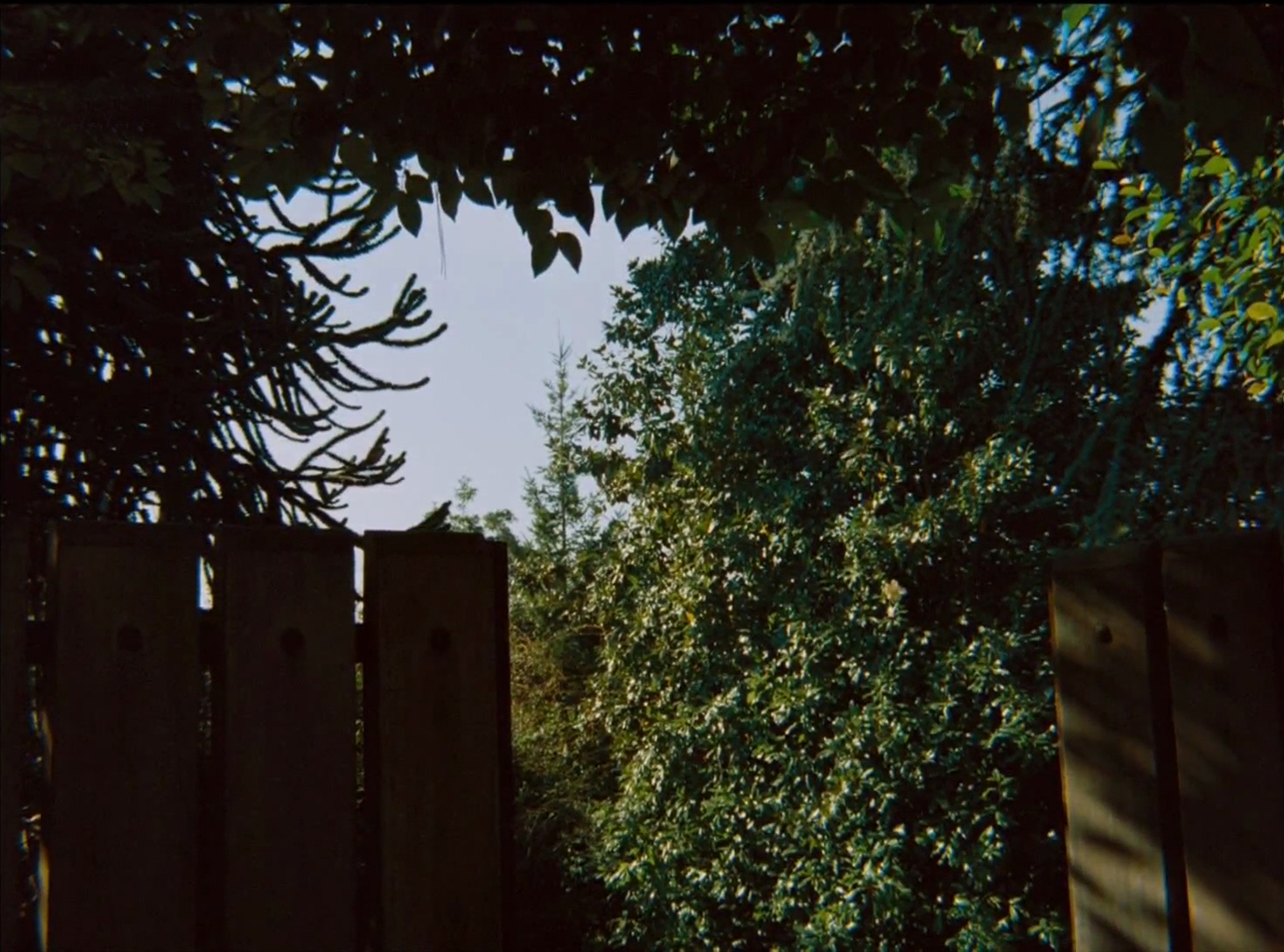 Mondes imaginaires — Le Cinéma de Manoel de Oliveira