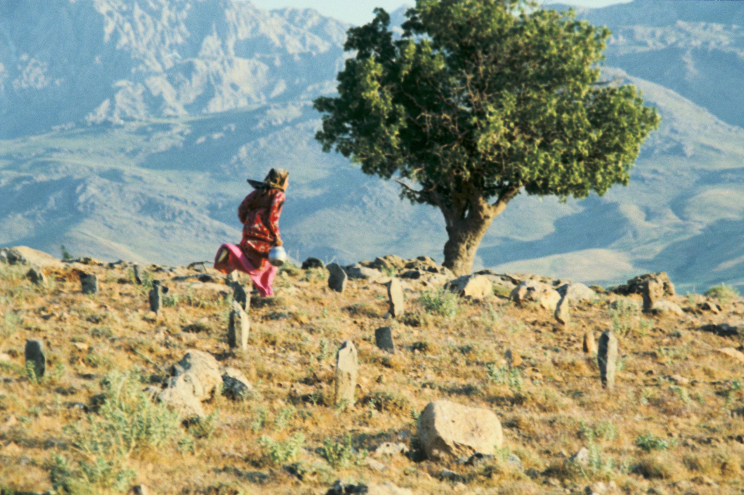 Revoir Kiarostami (1) : Le Goût de la cerise et Le Vent nous emportera
