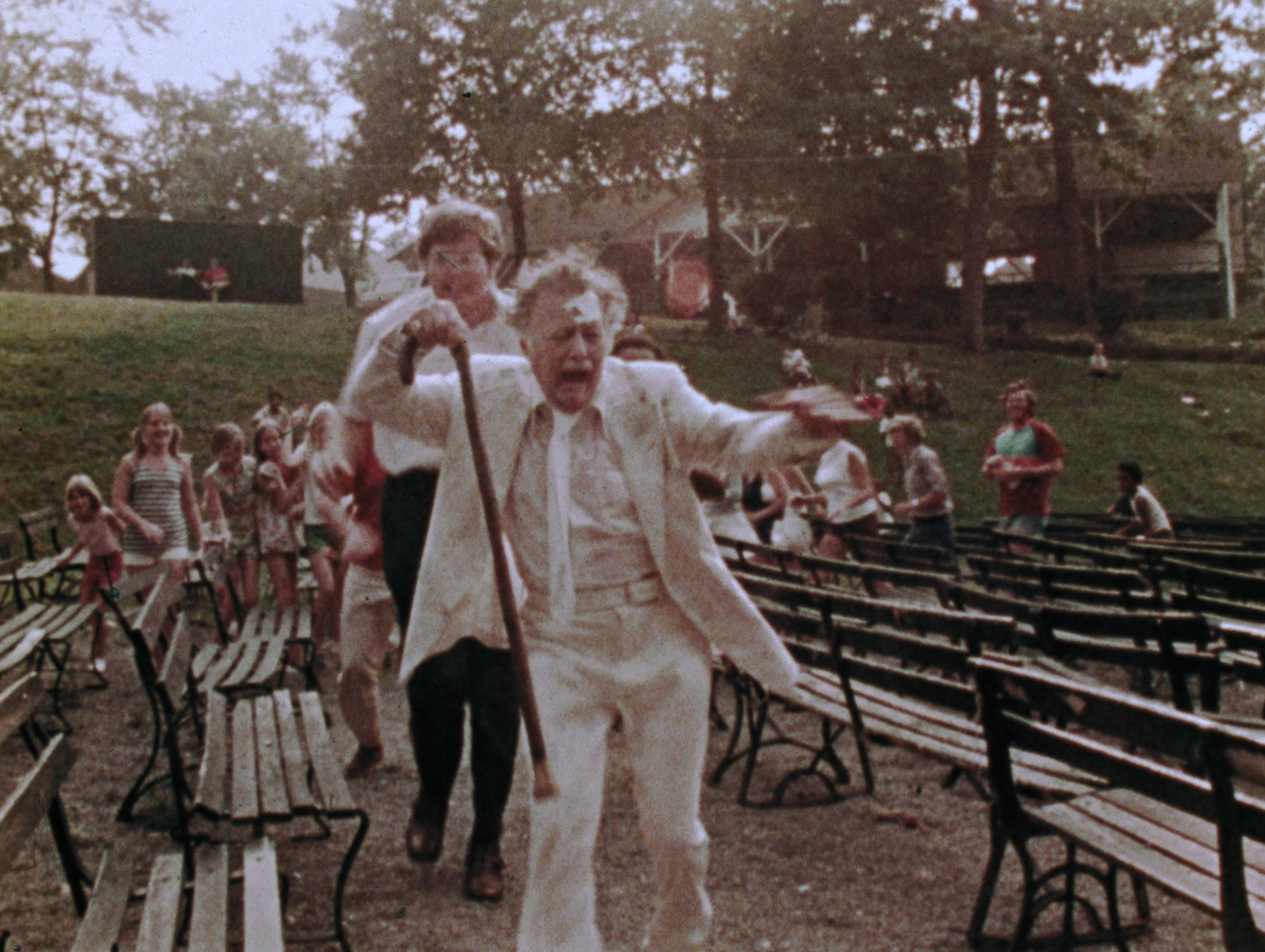 The Amusement Park