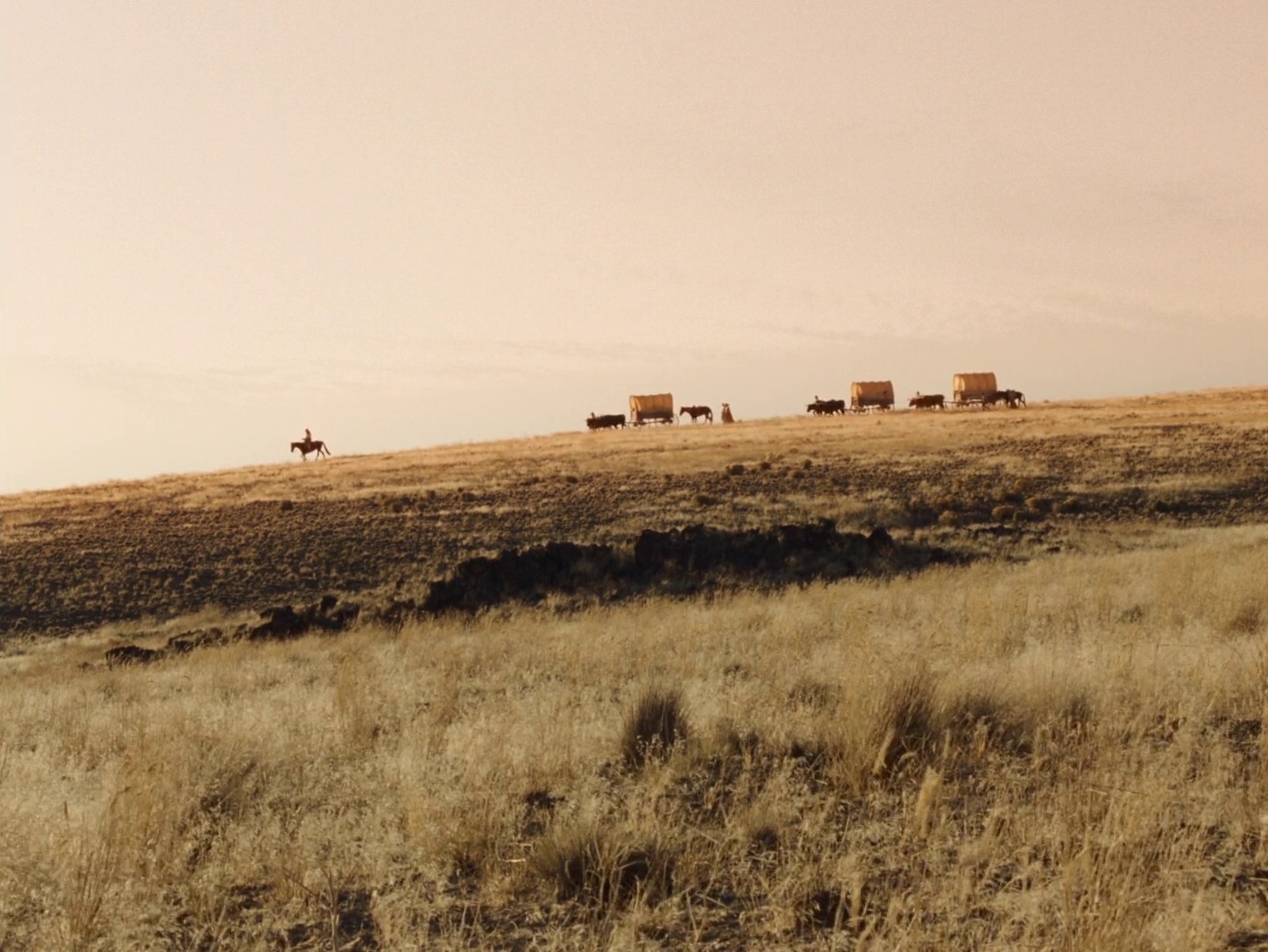 Kelly Reichardt, L’Amérique retraversée