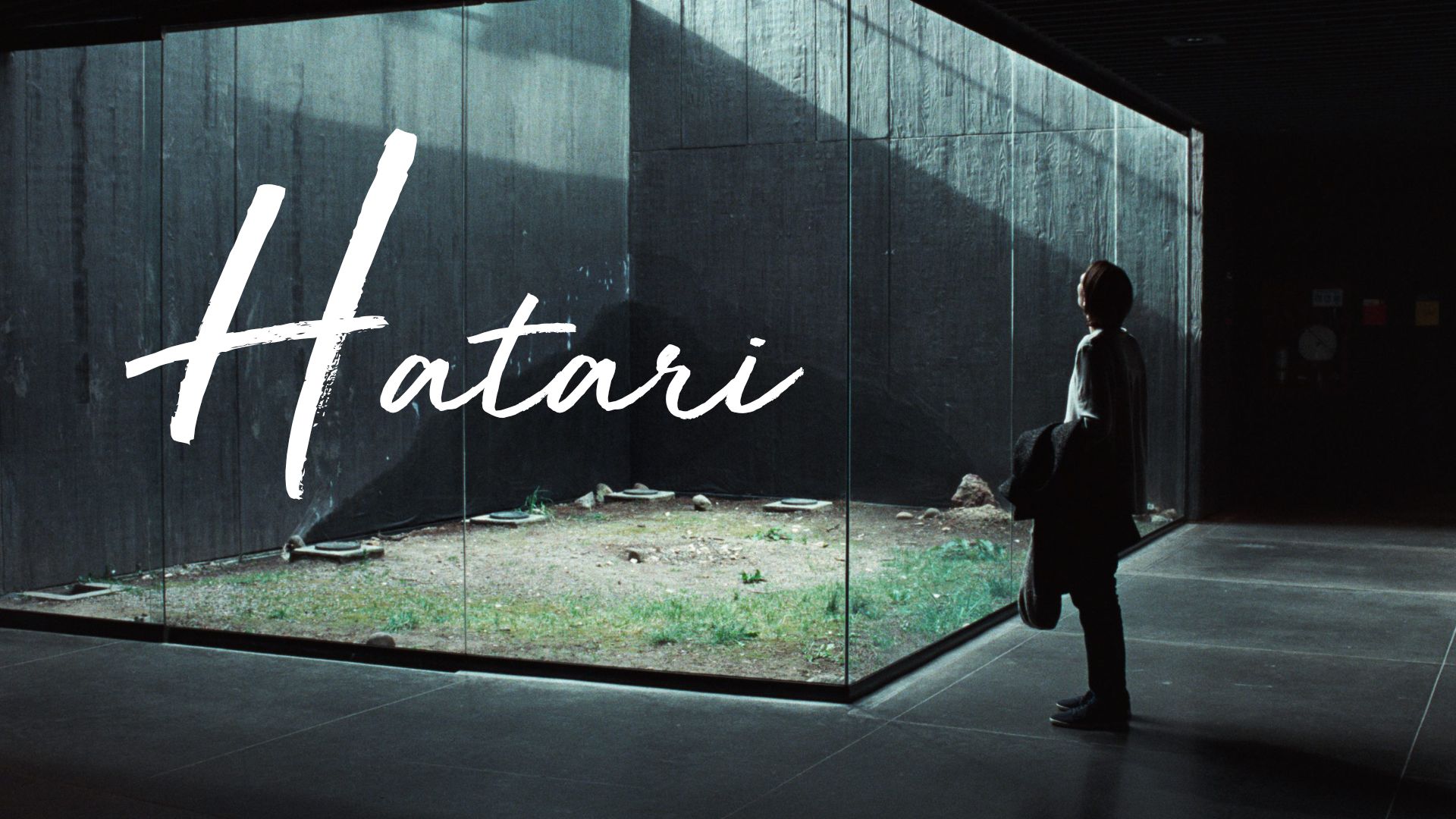 Hatari — Memoria