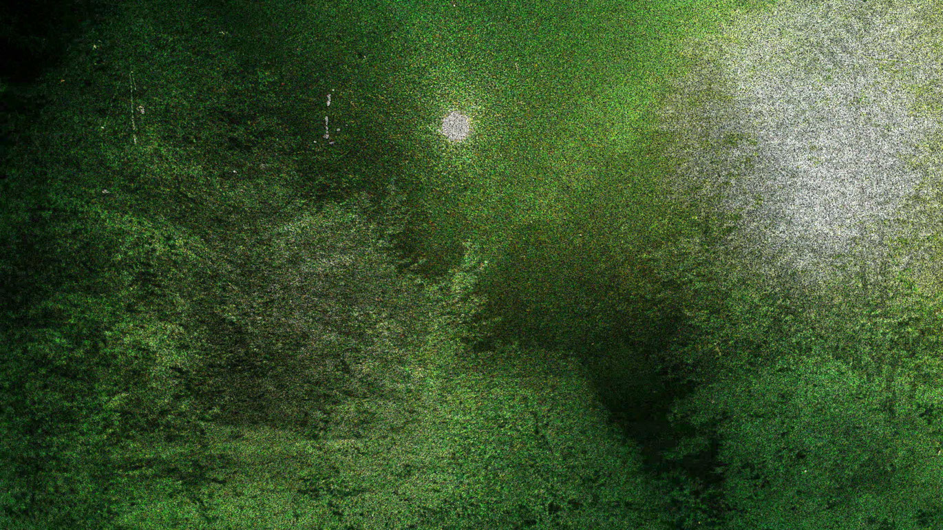 Abstractions de Siegfried A. Fruhauf