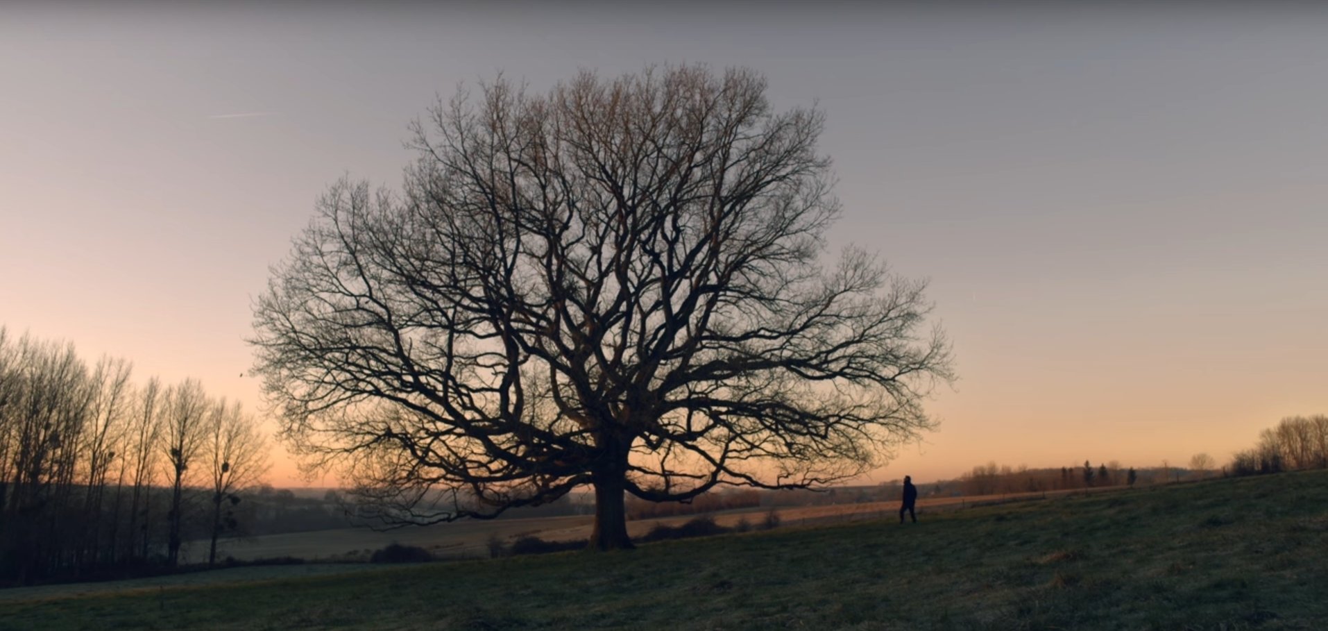 Clips et images de la campagne