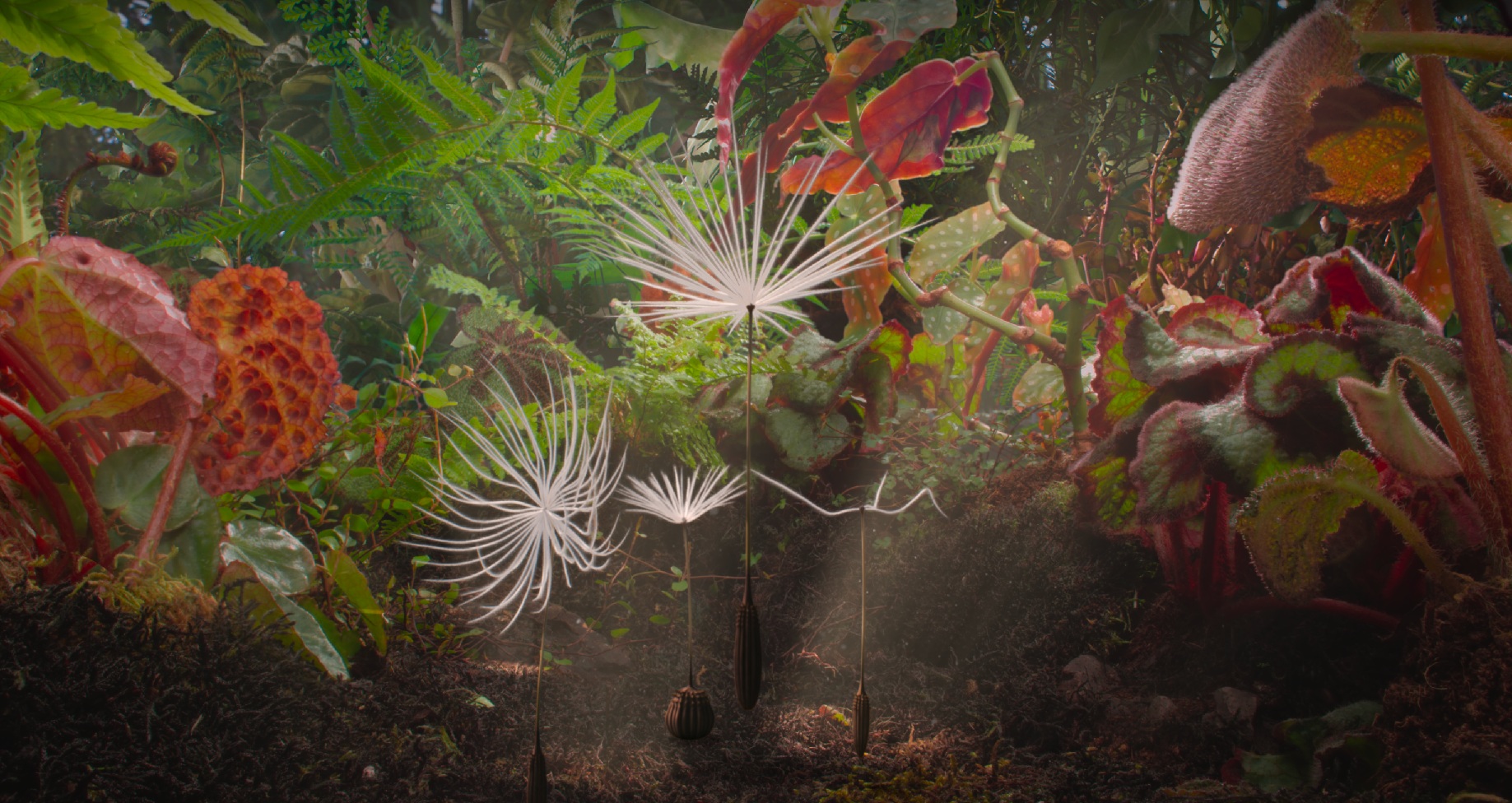 Planètes