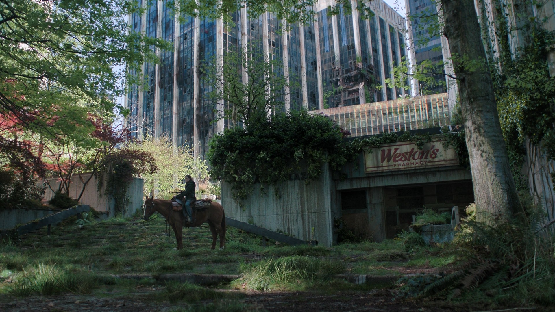 The Last of Us, saison 2